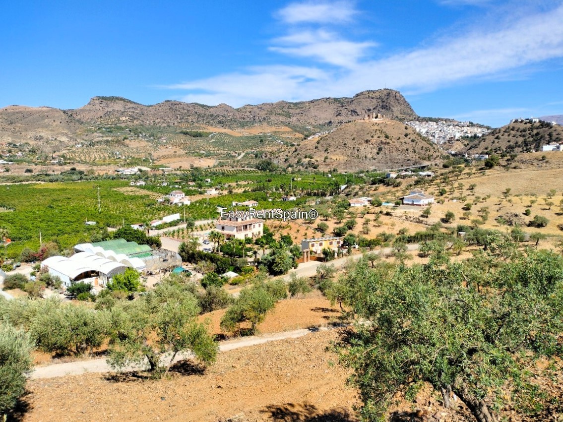 中季出租，很棒的别墅和私人公寓，游泳池，烧烤区和大型停车场，非常靠近阿洛拉。